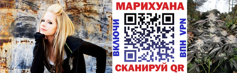 МАРИХУАНА сатива  Сокол 